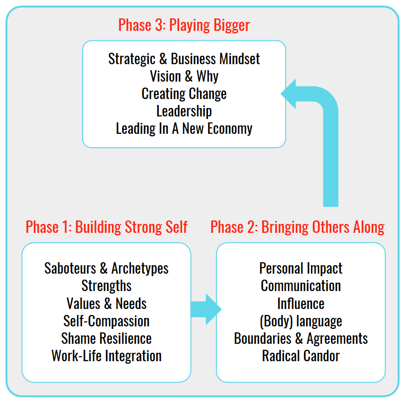 Image providing an overview on the content of the three phases of a Power Partnership program